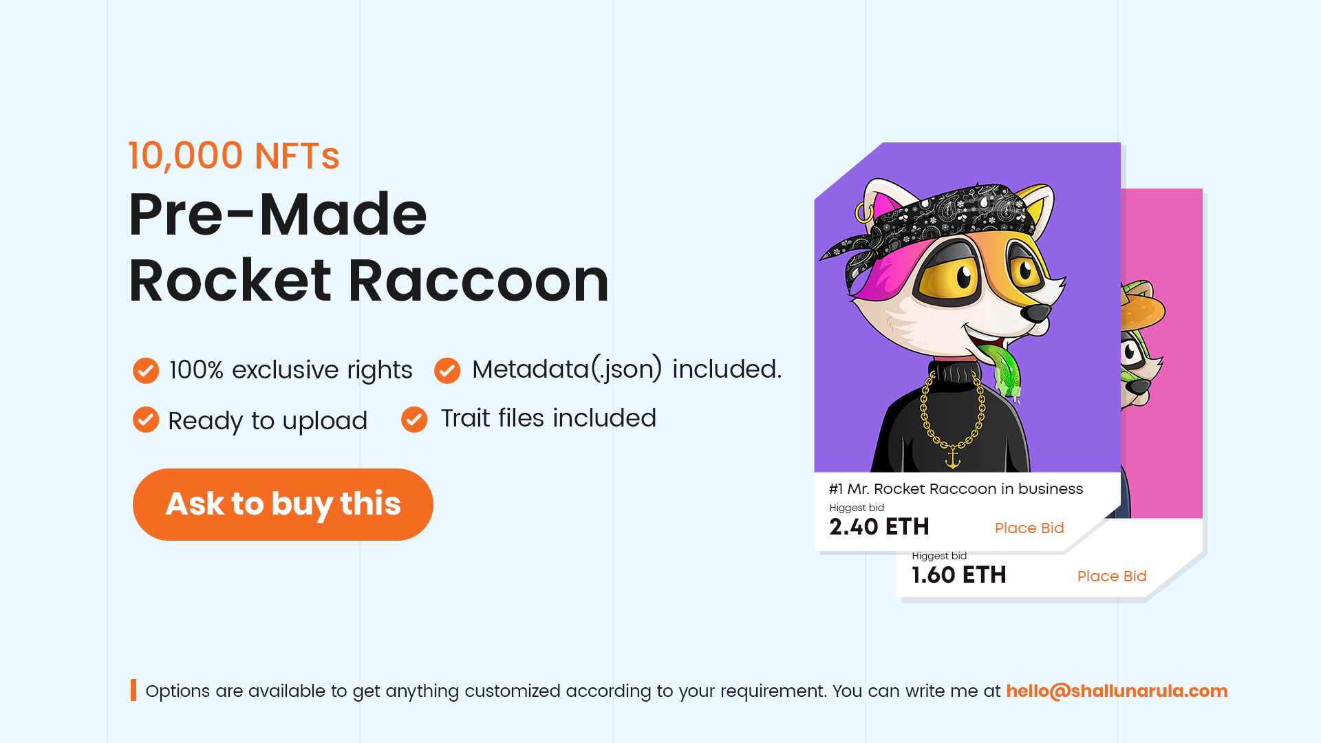 Rocklet Raccoon