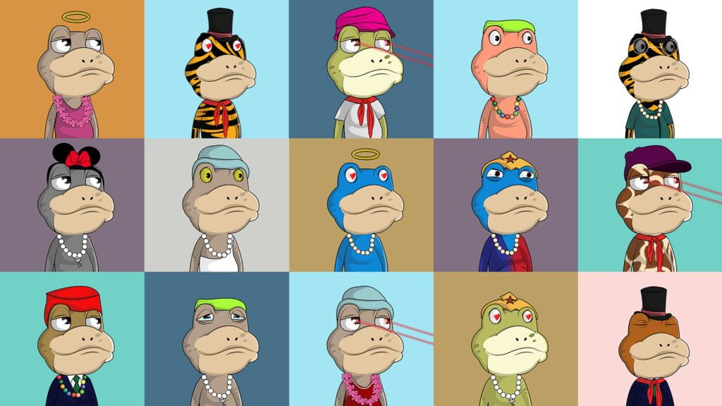 Frog Baba - Premade NFT Collection
